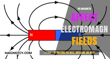 Exploring the Interaction: Magnets and Electromagnetic Fields