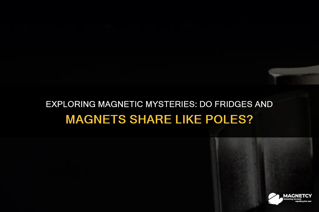 do magnets and fridges have like poles