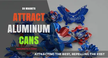 Do Magnets Attract Aluminum Cans? Unveiling the Magnetic Truth