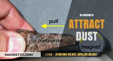 Do Magnets Attract Dust? Unveiling the Surprising Truth Behind the Myth