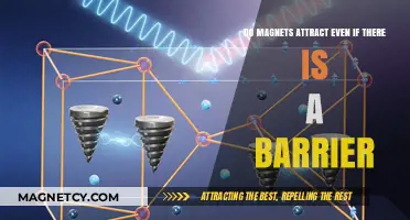 Can Barriers Block Magnetic Attraction? Exploring Magnetism Through Obstacles