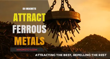 Do Magnets Attract Ferrous Metals? Unveiling Magnetic Properties and Interactions