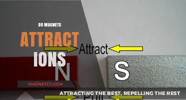 Do Magnets Attract Ions? Exploring the Science Behind Magnetic Forces