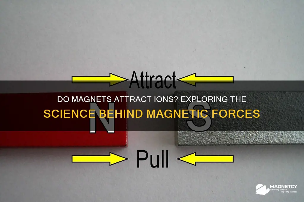 do magnets attract ions