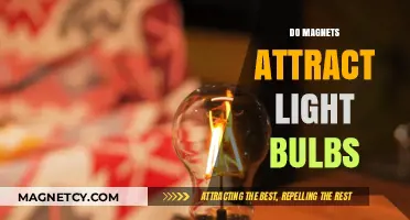 Can Magnets Attract Light Bulbs? Exploring the Science Behind It