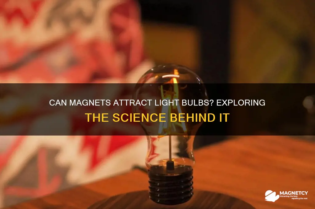 do magnets attract light bulbs