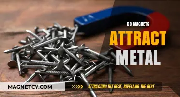 Do Magnets Attract Metal? Unraveling the Magnetic Force Mystery