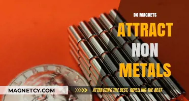 Do Magnets Attract Non-Metals? Unveiling Magnetic Material Interactions