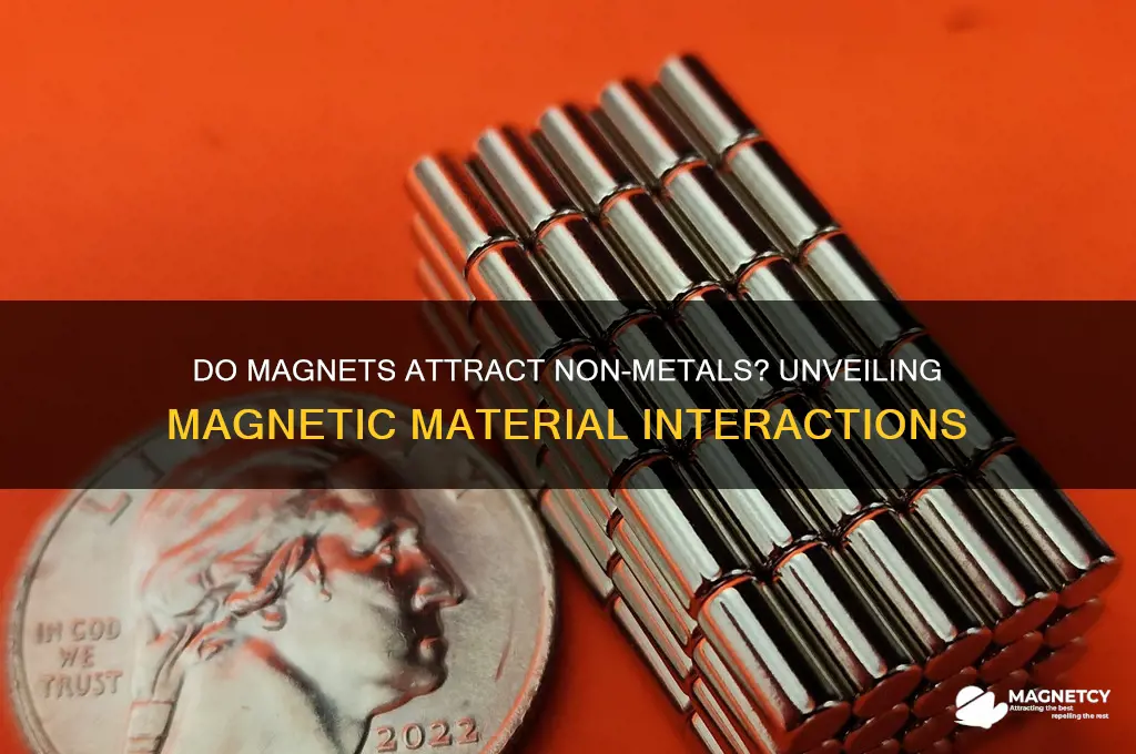 do magnets attract non metals