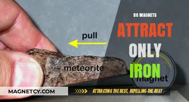 Magnets Beyond Iron: Exploring Attraction to Other Metals and Materials