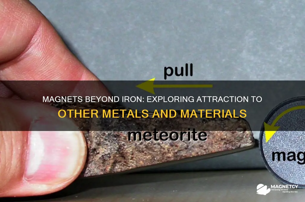do magnets attract only iron