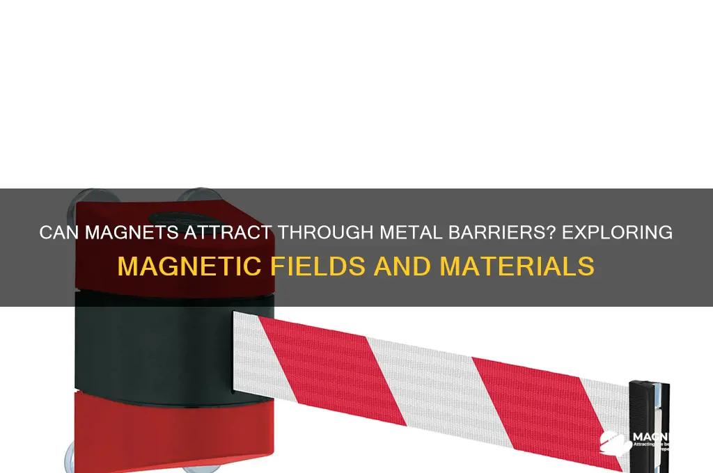 do magnets attract other magnets through other metals