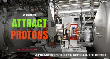 Do Magnets Attract Protons? Unraveling the Science Behind Magnetic Forces