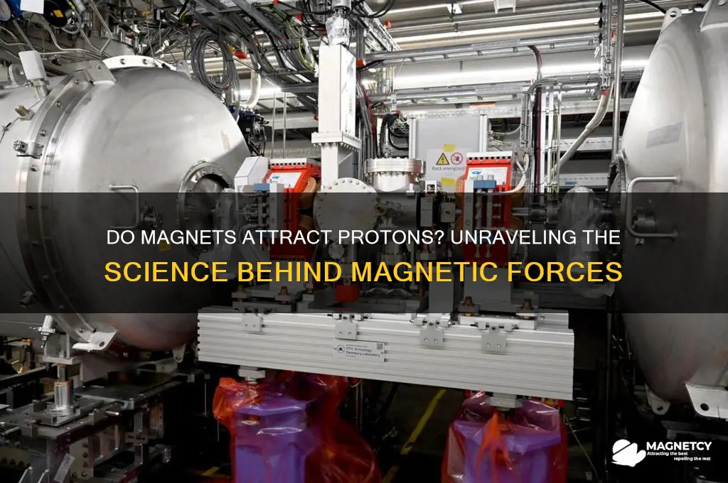 do magnets attract protons
