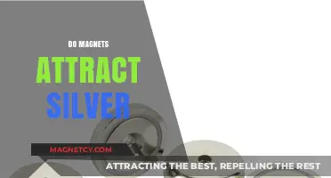 Do Magnets Attract Silver? Unveiling the Magnetic Properties of Silver
