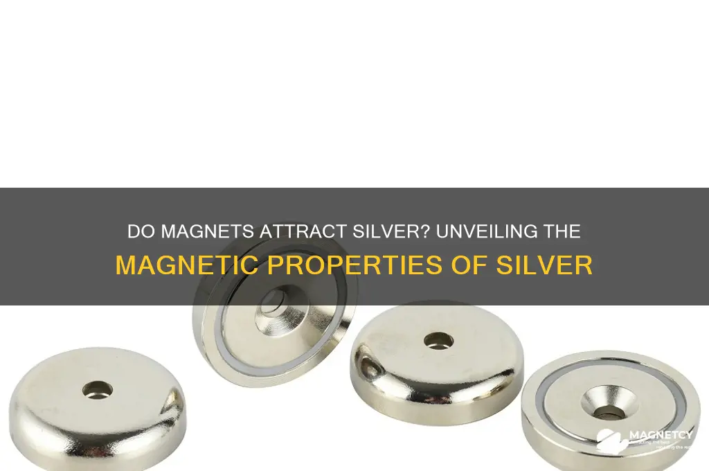 do magnets attract silver