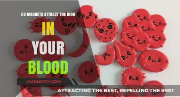 Can Magnets Attract Iron in Blood? Separating Myth from Science
