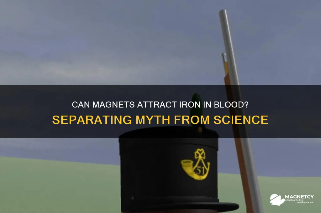 do magnets attract the iron in your blood