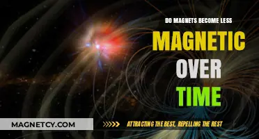 The Longevity of Magnetism: Do Magnets Weaken with Time?