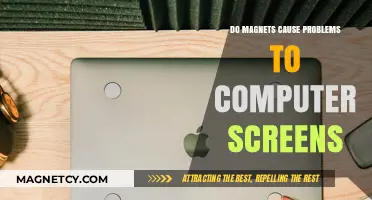 Magnetic Fields and Computer Screens: Debunking Common Myths