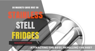 Magnetic Attraction: Do Magnets Cause Rust on Stainless Steel Fridges?