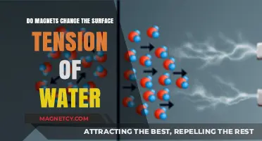 Exploring the Effects of Magnets on Water's Surface Tension