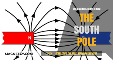 Exploring Magnetism: Do Magnets Really Come from the South Pole?