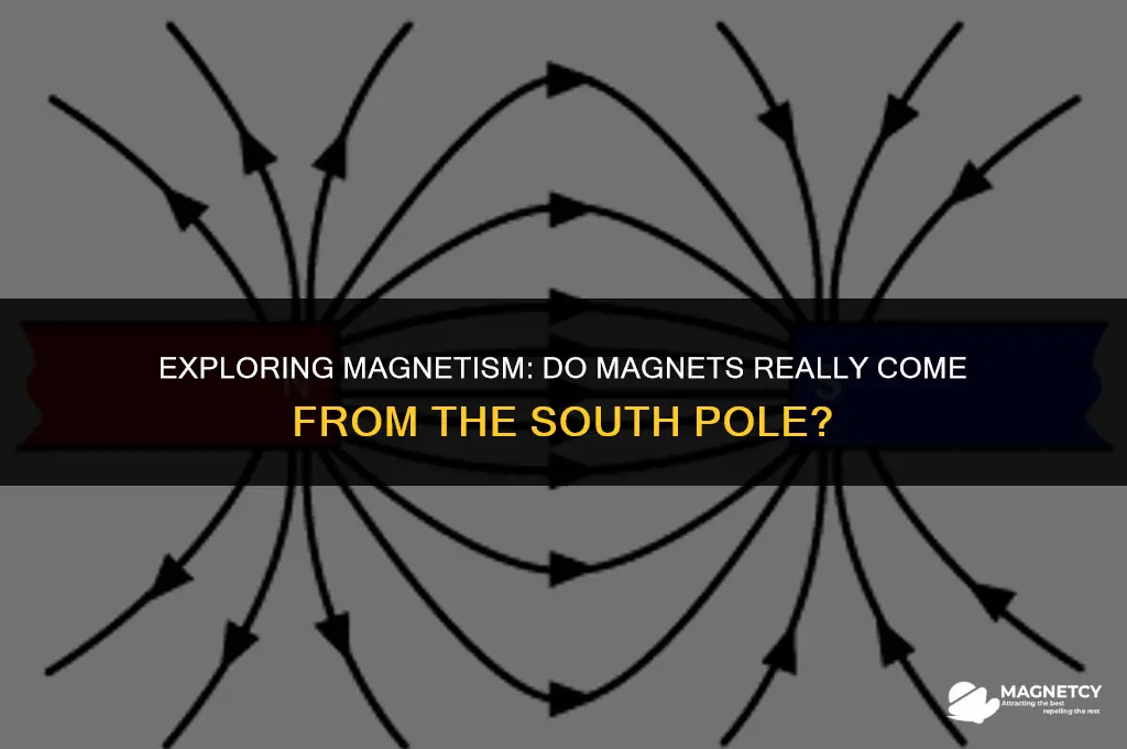 do magnets come from the south pole