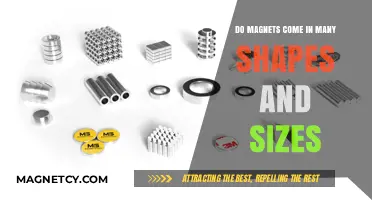 Exploring the Diverse World of Magnets: Shapes and Sizes