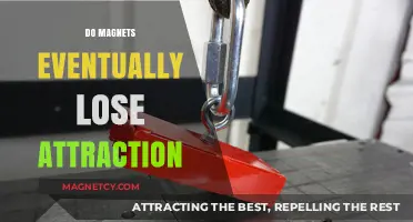 Do Magnets Weaken Over Time? Exploring Magnetic Attraction Longevity