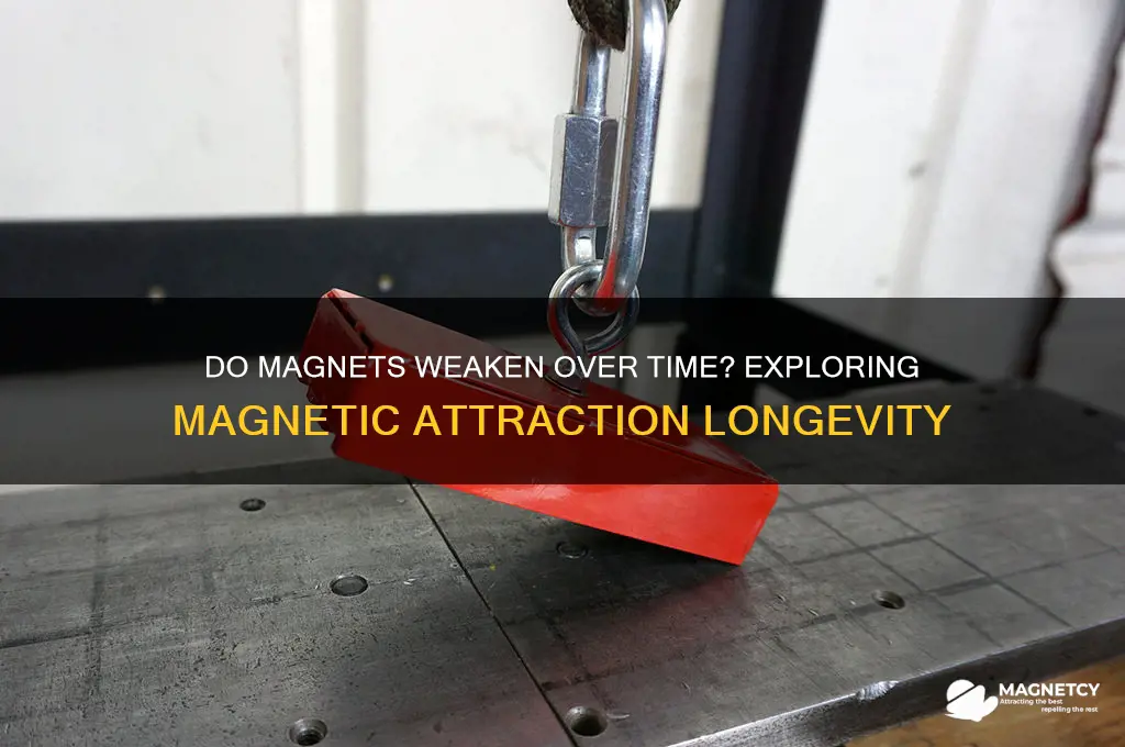 do magnets eventually lose attraction