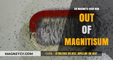 The Eternal Pull: Do Magnets Ever Lose Their Magnetism?