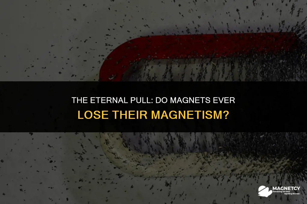 do magnets ever run out of magnitisum