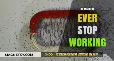 The Eternal Pull: Do Magnets Ever Lose Their Mojo?