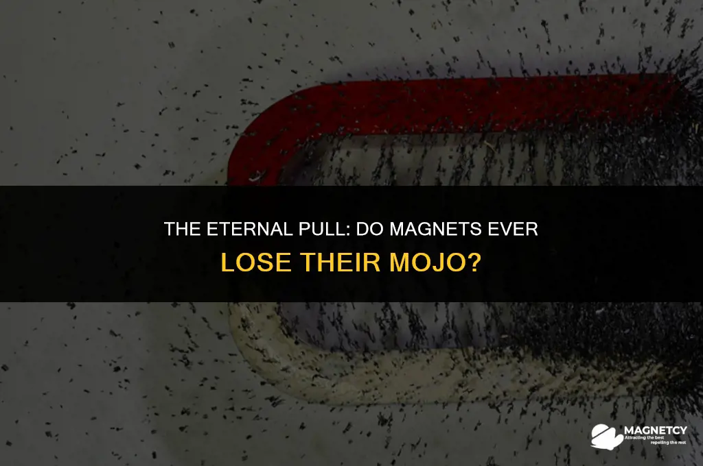 do magnets ever stop working