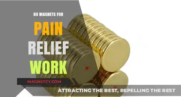 Exploring the Truth: Do Magnets Really Ease Pain?