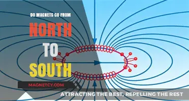 Exploring Magnetism: The Journey from North to South Pole
