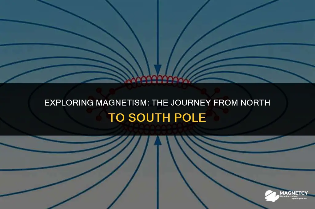 do magnets go from north to south