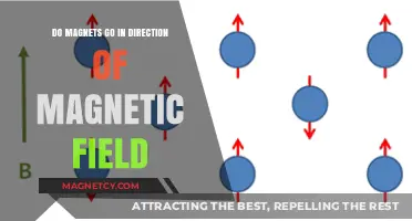 Exploring Magnetism: Do Magnets Align with Magnetic Fields?