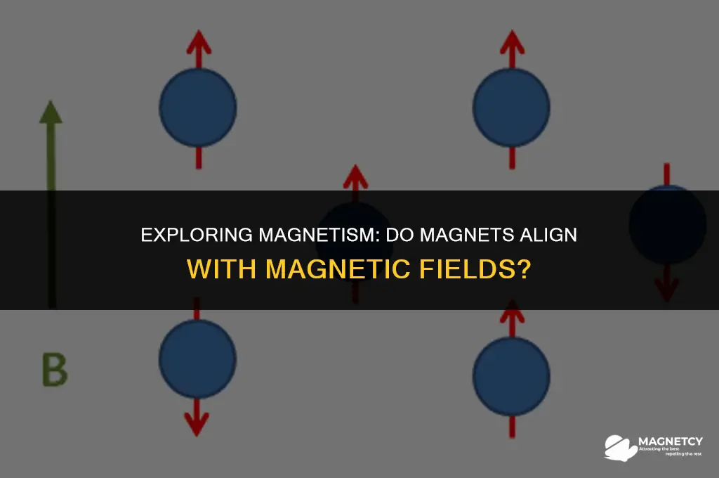 do magnets go in direction of magnetic field