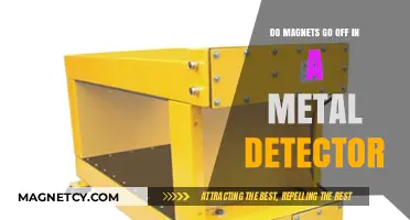 Metal Detector Mysteries: The Truth About Magnets and Security Scans