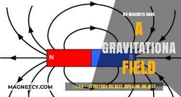 Exploring the Connection: Do Magnets Influence Gravitational Fields?