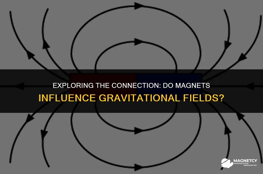do magnets have a gravitational field