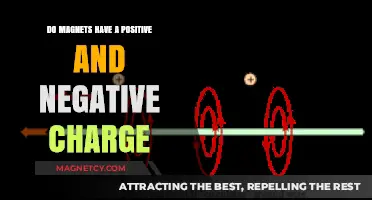 Exploring Magnetism: The Dual Nature of Magnetic Charges