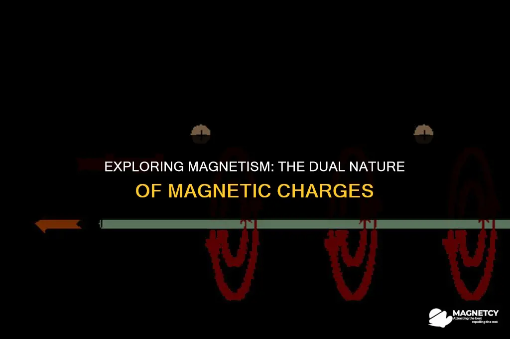 do magnets have a positive and negative charge