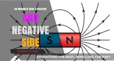 Exploring Magnetism: The Intriguing World of Positive and Negative Poles