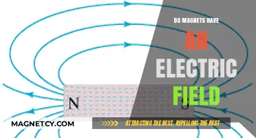 Exploring the Hidden Link: Do Magnets Generate an Electric Field?