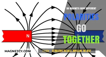 Exploring Magnetic Attraction: Do Opposites Really Attract?