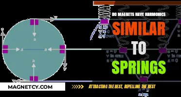 Exploring the Harmonic Nature of Magnets and Springs