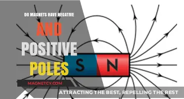 Exploring Magnetism: The Intriguing World of Positive and Negative Poles